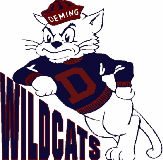 District logo